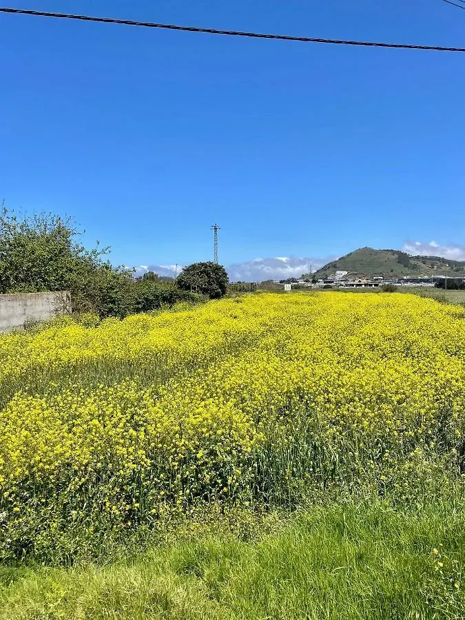 La Macadamia Βίλα Σαν Κριστόμπαλ ντε Λα Λαγούνα