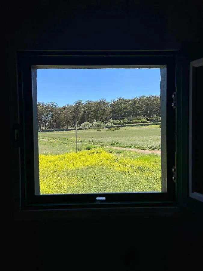 La Macadamia Βίλα Σαν Κριστόμπαλ ντε Λα Λαγούνα 0*,